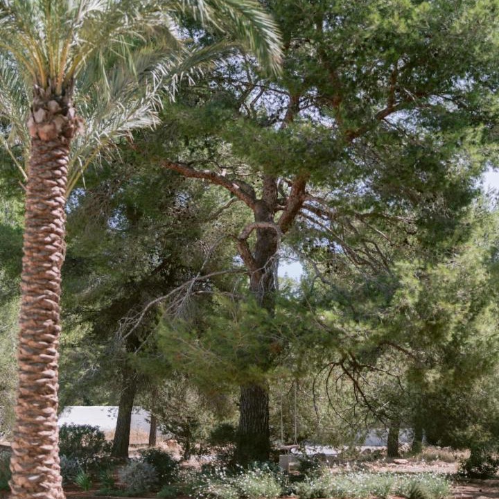Photo of Others in Sant Josep de sa Talaia