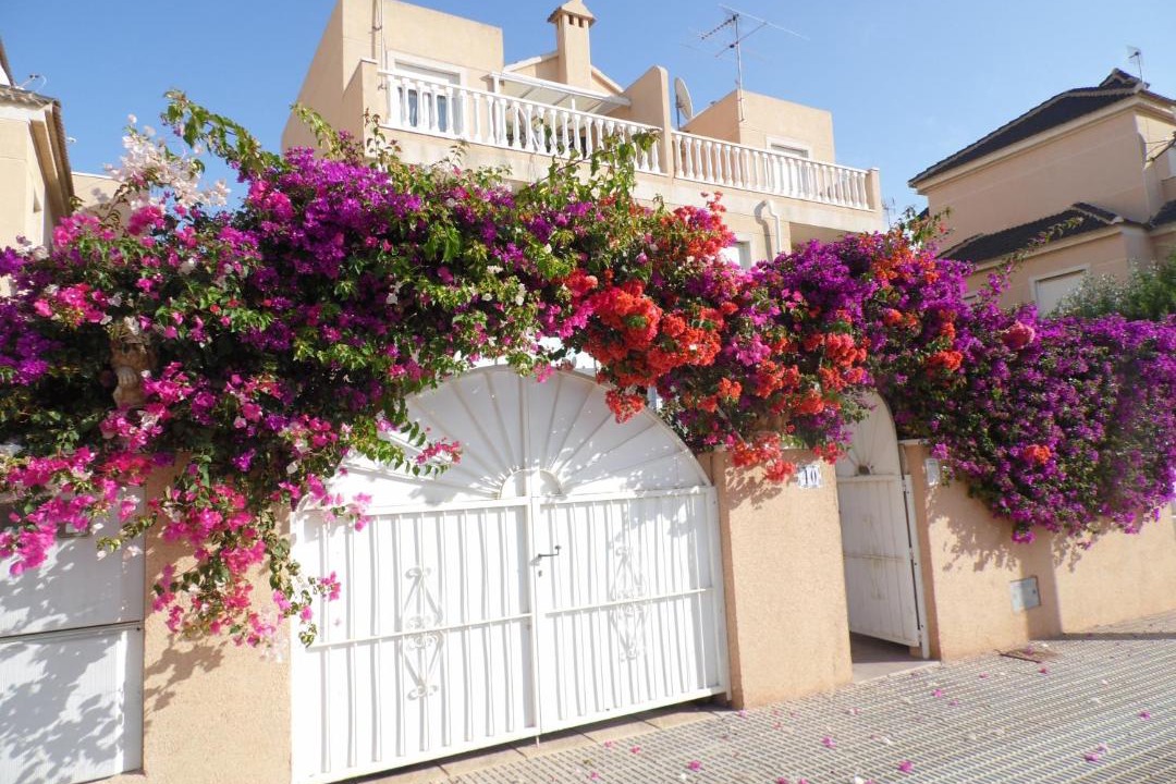 Photo of Others in Playa Flamenca
