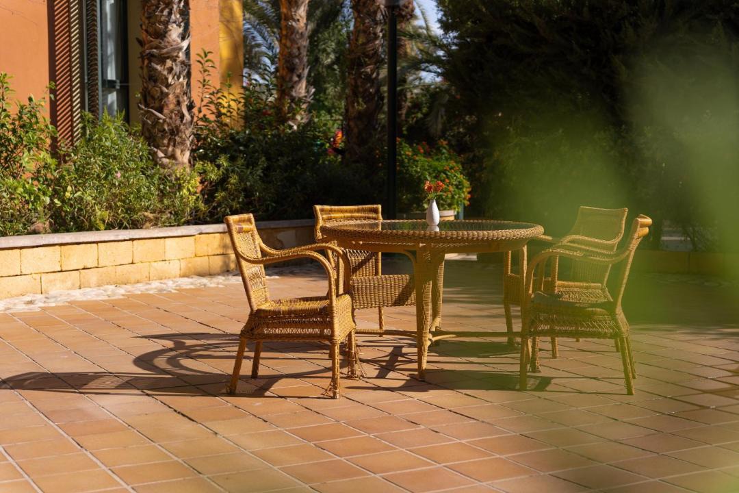 Photo of Others in Elche
