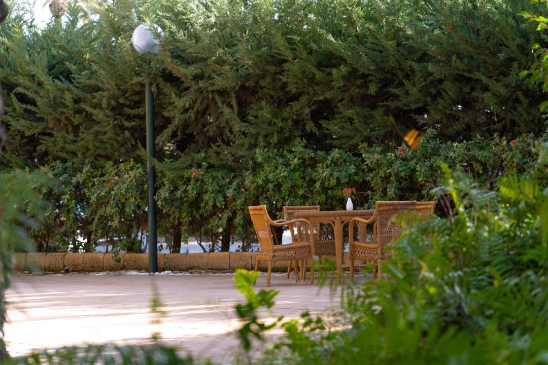 Photo of Others in Elche