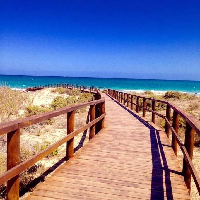 Photo of Others in Los Arenales del Sol