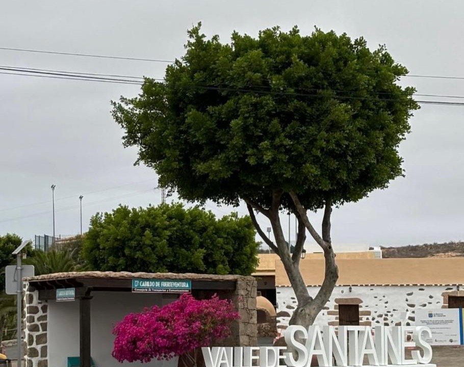 Photo of Others in Valle de Santa Ines
