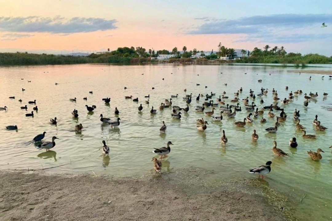 Photo of Others in Puerto Rey