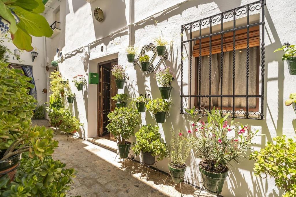 Photo of Patio Balcony in Barrio de la Villa