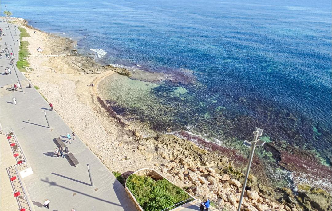 Photo of Others in Torrevieja