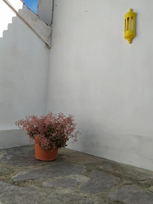 Photo of Others in Montellano