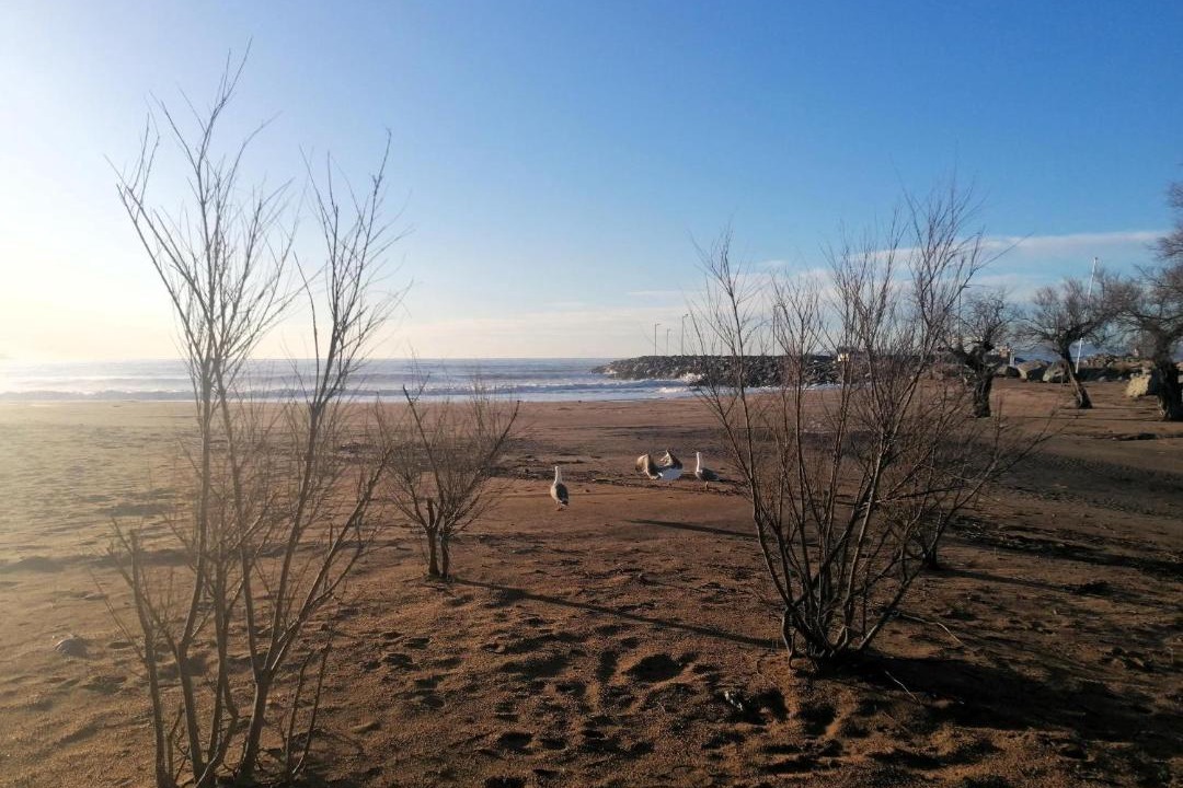 Photo of Others in Santa Margarida
