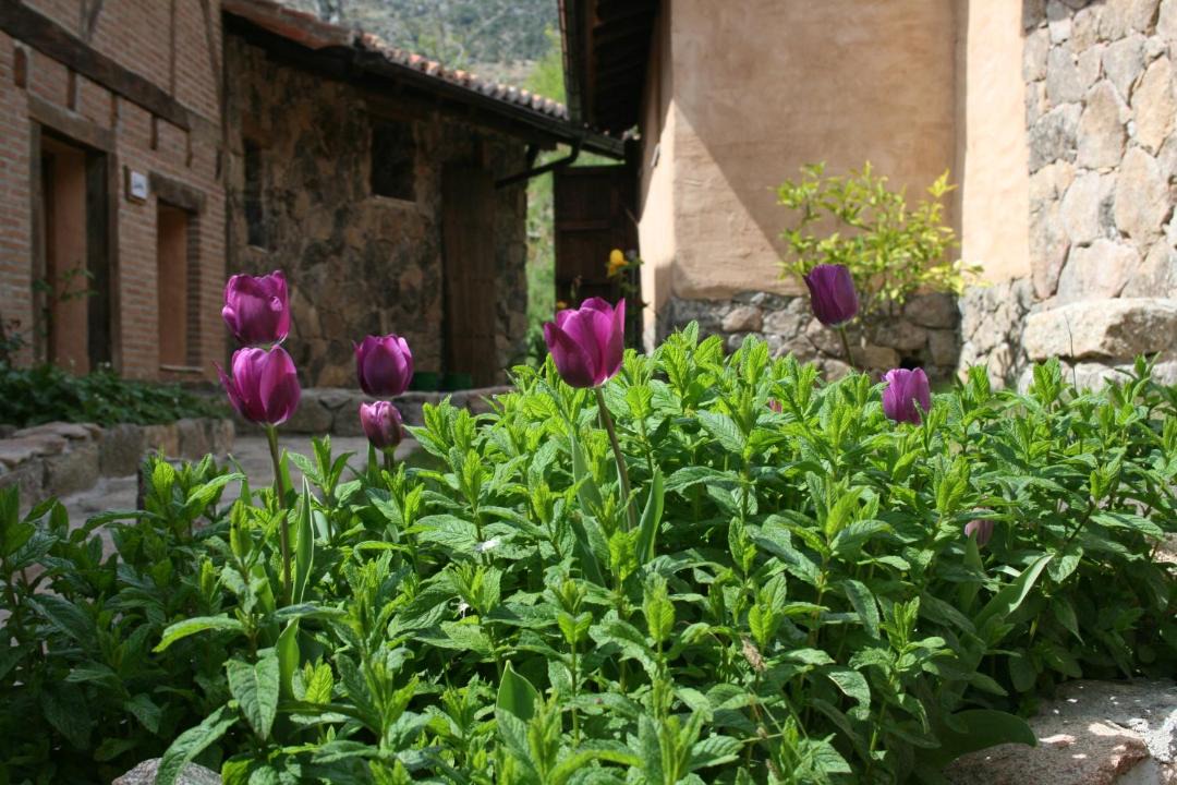 Photo of Others in Cuevas del Valle