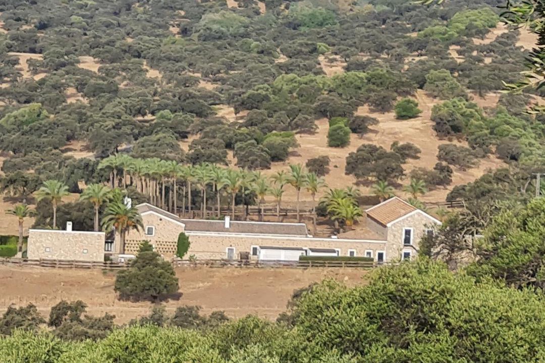 Photo of Others in Guillena
