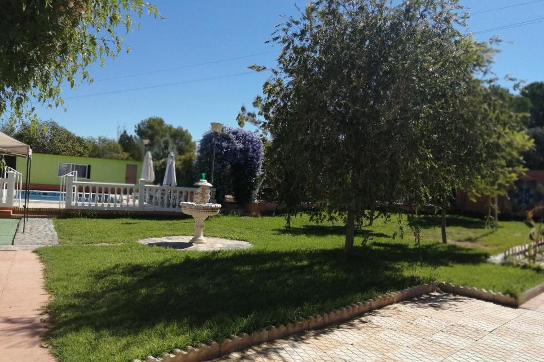 Photo of Others in Guillena