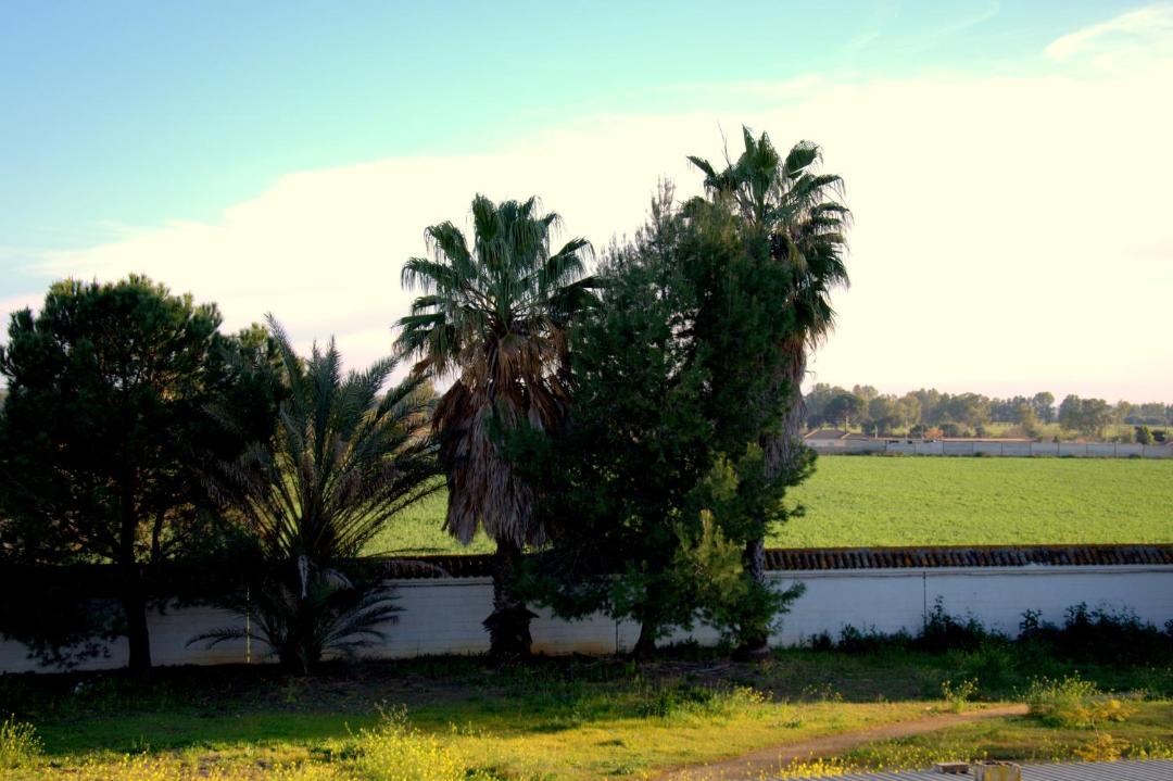 Photo of Others in Carmona
