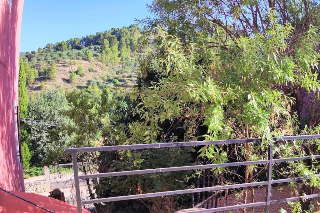 Photo of Others in Benilloba