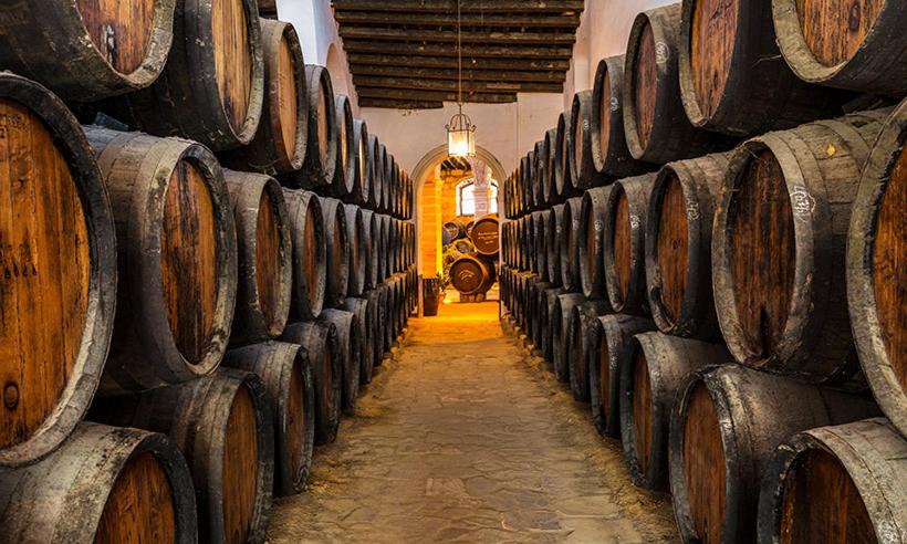 Photo of Others in Jerez de la Frontera Old Town