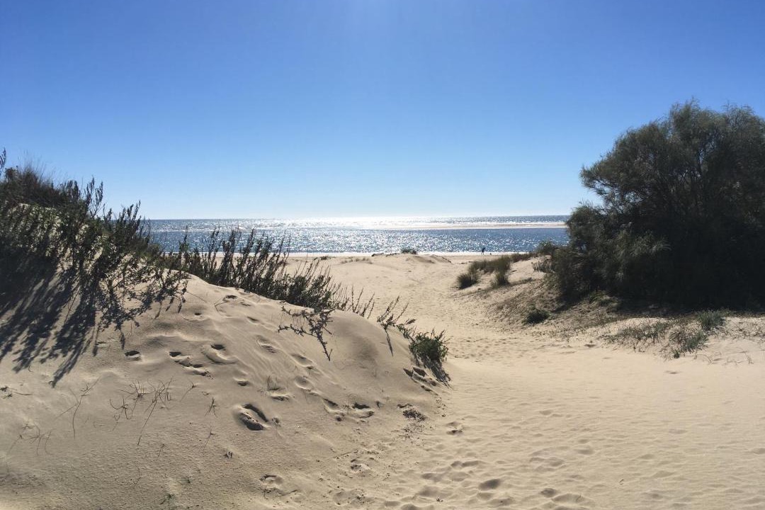 Photo of Others in El Portil