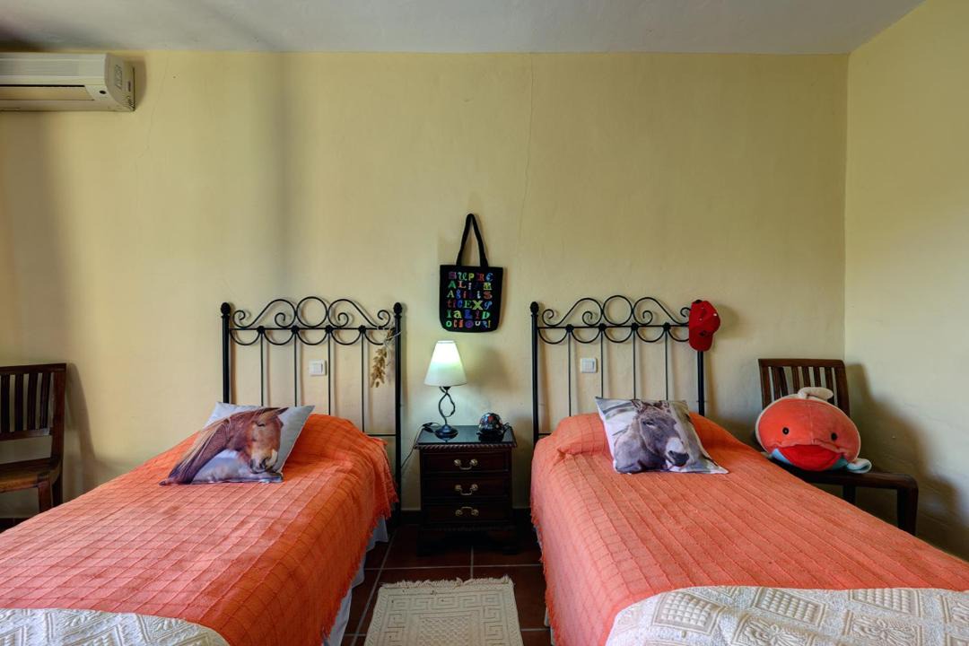 Photo of Bedroom in Casares