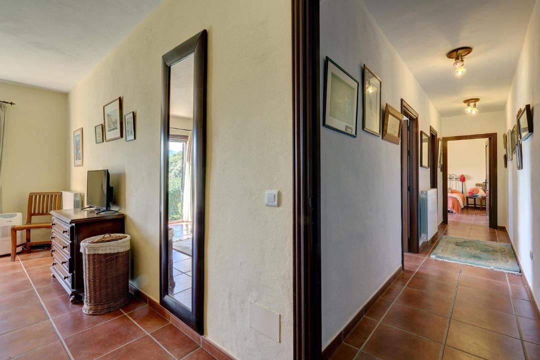 Photo of Livingroom in Casares