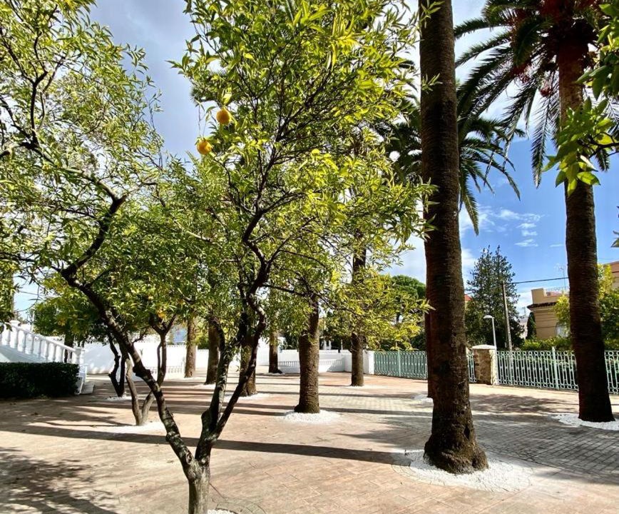 Photo of Outdoor in Distrito Norte Sierra