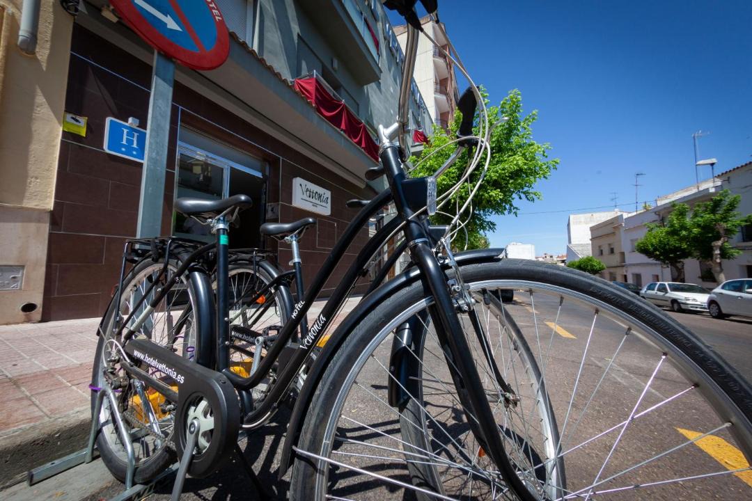 Photo of Others in Merida Old Town
