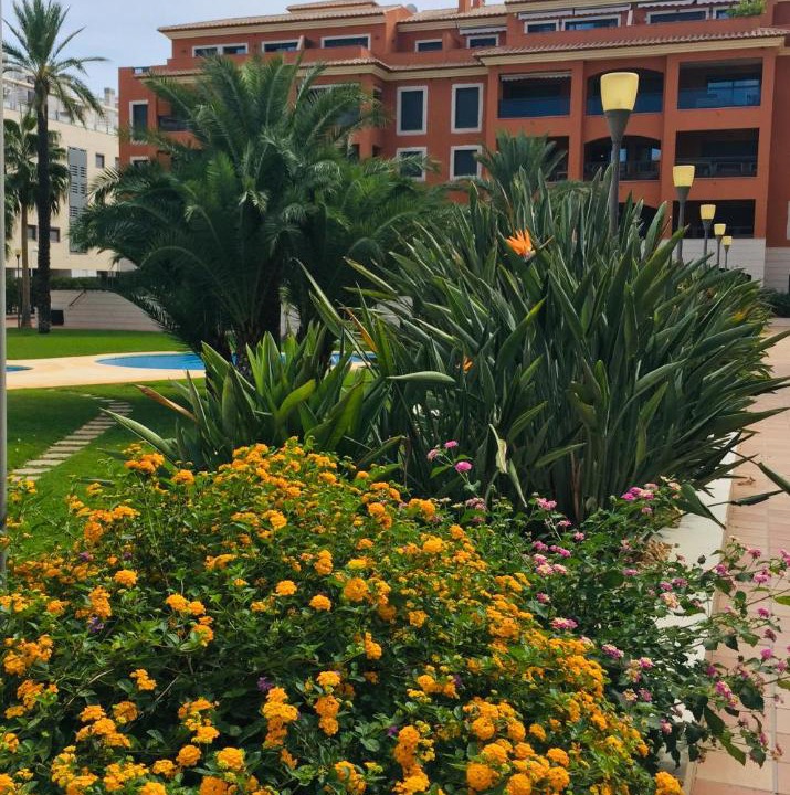 Photo of Buildings in Denia