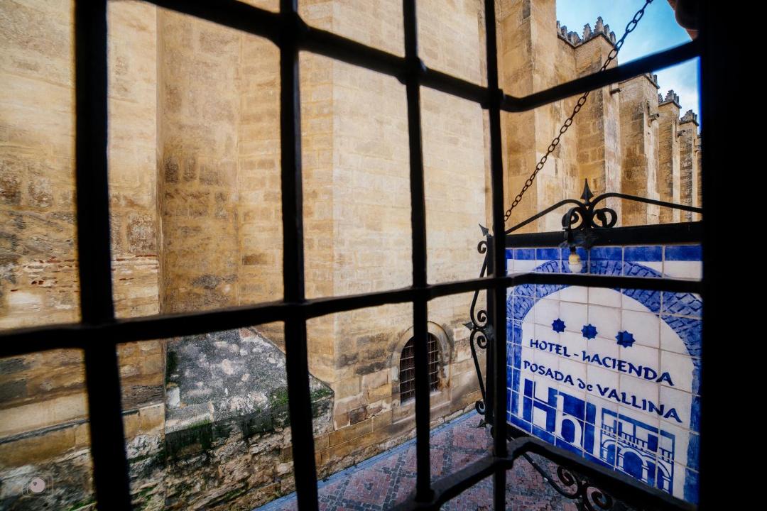 Photo of Others in La Catedral