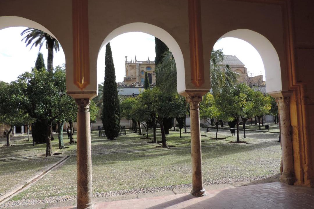 Photo of Others in La Catedral