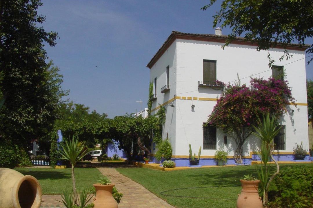 Photo of Others in Mairena del Alcor