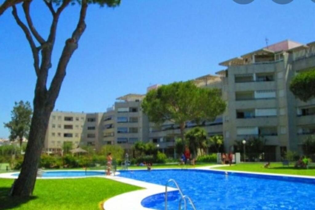 Photo of Others in El Portil