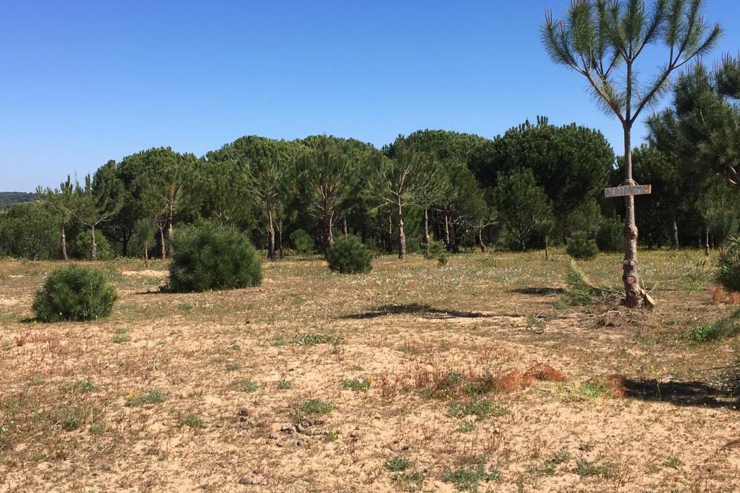 Photo of Others in Cartaya