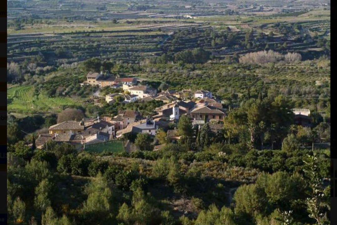 Photo of Others in Carricola