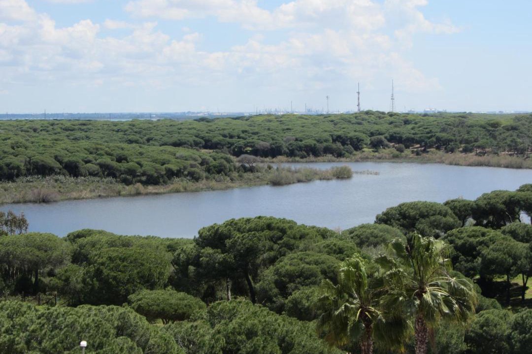 Photo of Outdoor in El Portil