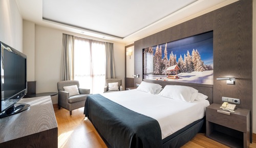 Junior Suite