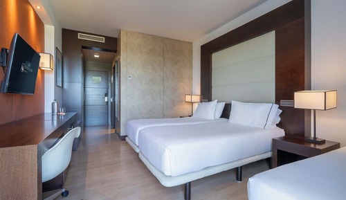 Triple Room (2 Adults and 1 Child)