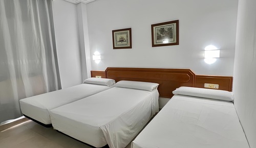 Basic Triple Room