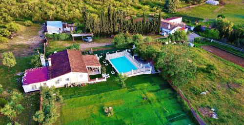 Villa with Garden View