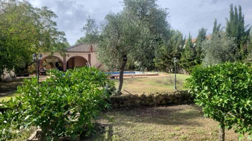 Three-Bedroom Home