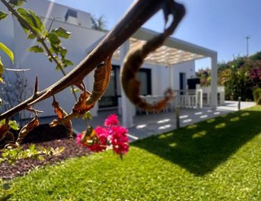 Deluxe Villa