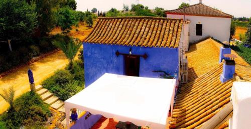 Studio with Terrace (2 Adults)