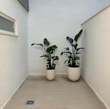 Suites azahar de Sevilla